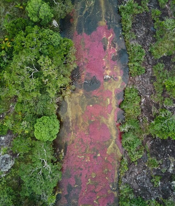 Experiencia Caño Cristales – La Macarena