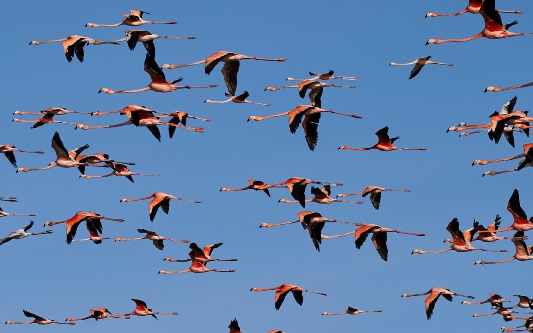 Experiencia Alta Guajira