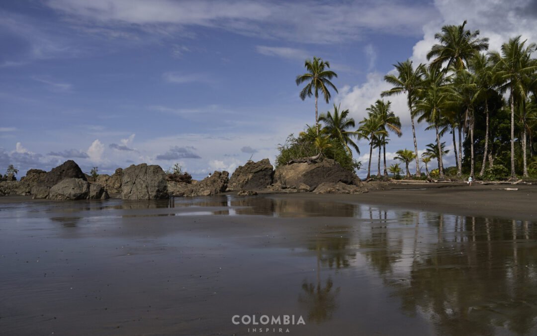 Experiencia Respira Pacífico